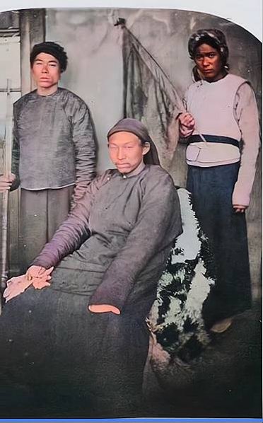 華爾+戈登《十九世紀中國的常勝軍：外國僱傭兵與清帝國官員》：