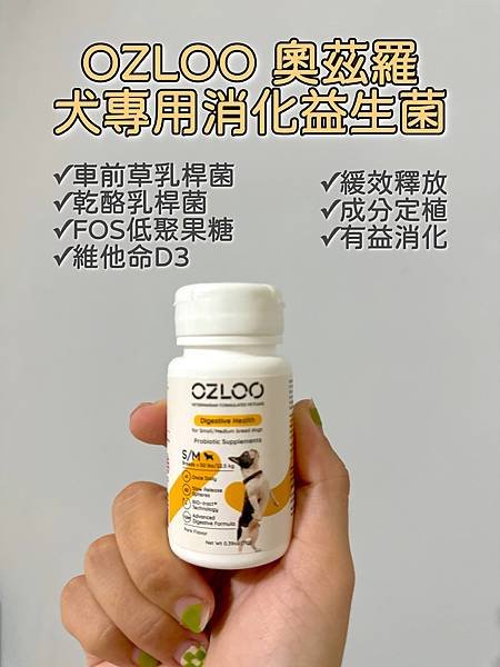 OZLOO奧茲羅評價好嗎？長效型益生菌跟其他益生菌的差異分析