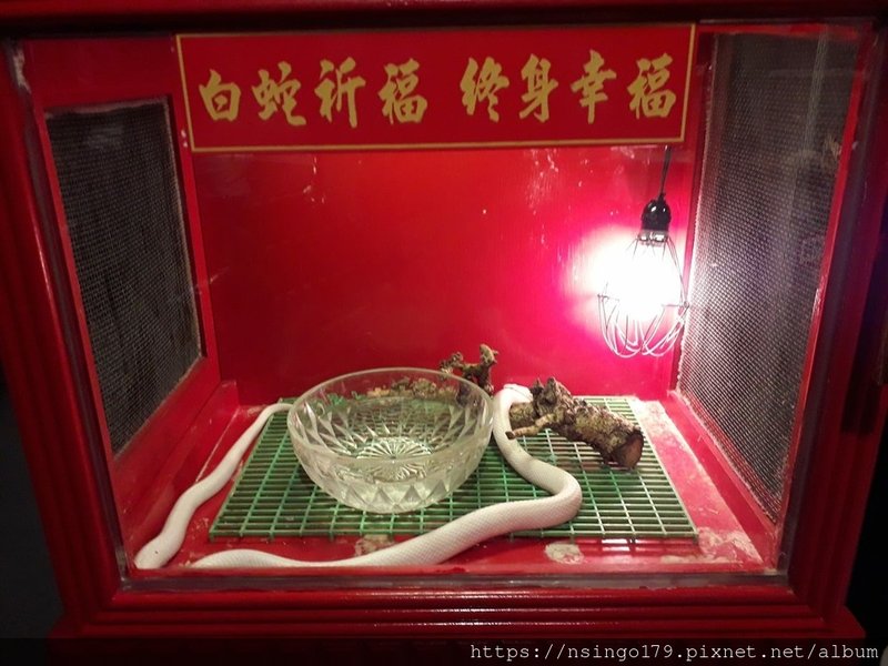 20190630_173747(0) (Copy).jpg