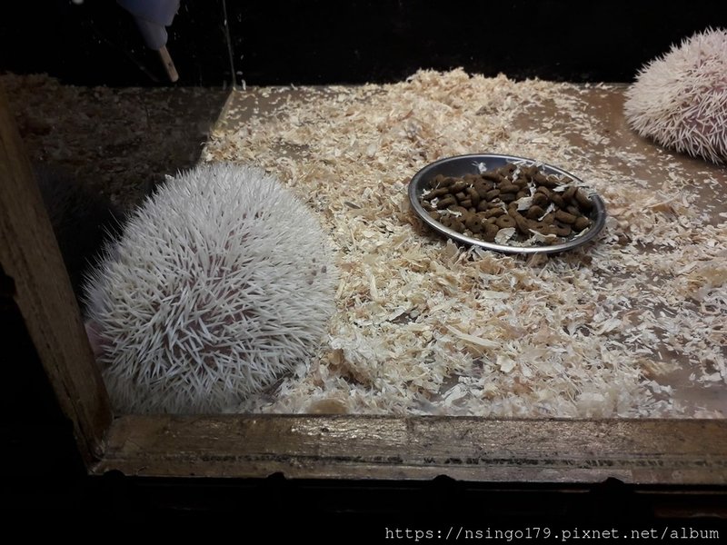 20190630_174248 (Copy).jpg