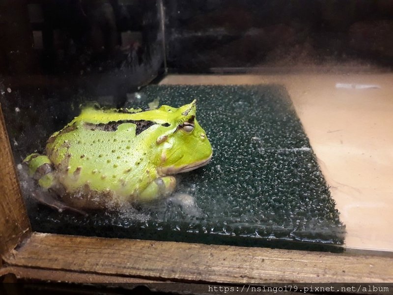 20190630_174235 (Copy).jpg