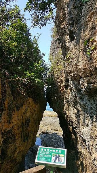 高雄→墾丁→高雄包車一日遊八小時，邊走邊玩快閃墾丁景點！！