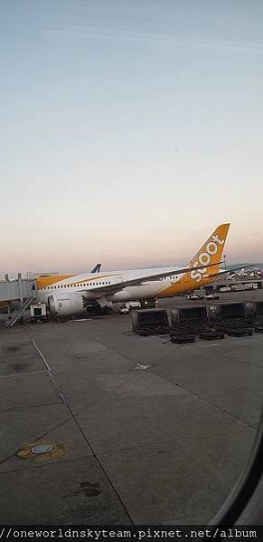 SCOOT B787