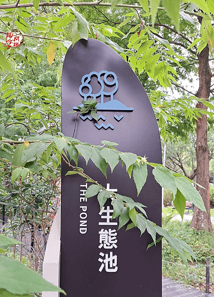 大安森林公園|幼兒園主題教學戶外資源探索|親親文化戶外研習|