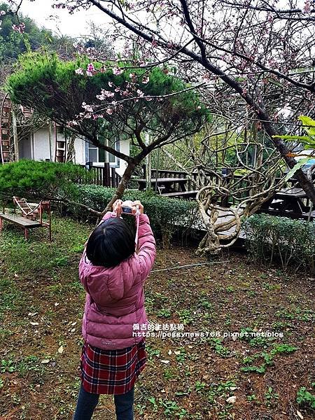 新竹住宿推薦-登美山莊-villa景觀別墅房-12