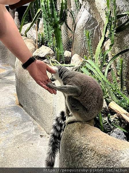 奧地利｜二戰時期的高射砲塔演變而成的維也納水族館Haus d