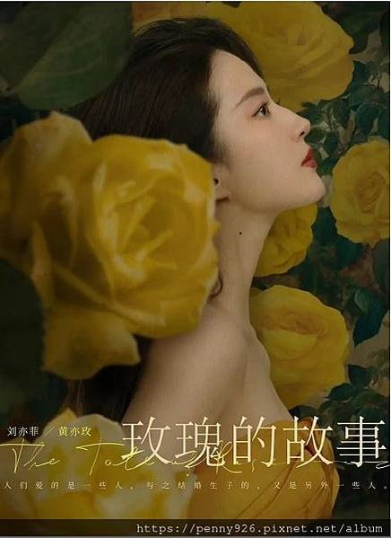 我看陸劇《玫瑰的故事》