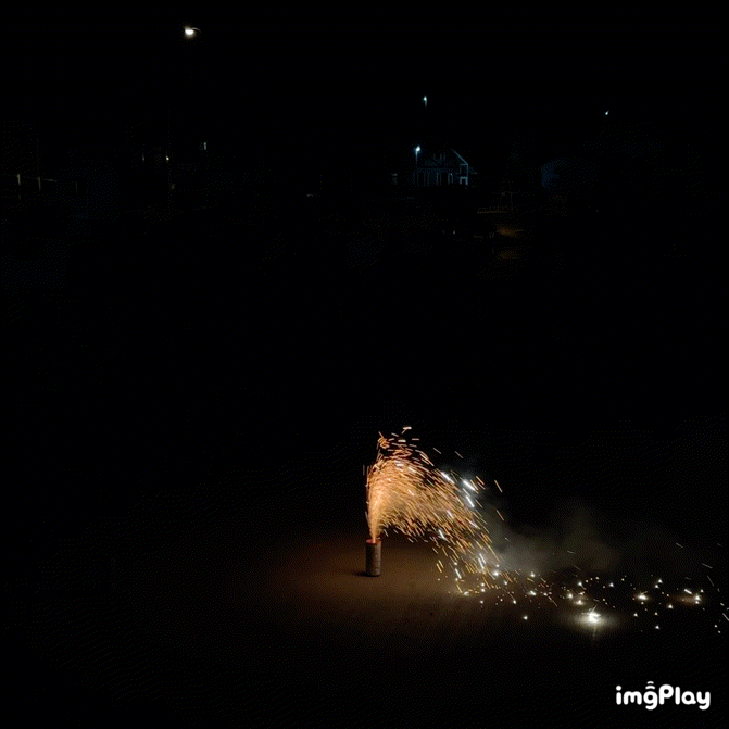 虎鯨