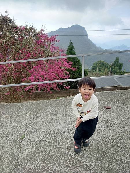 雙梅家第3露苗栗山視界～海拔880公尺有雲海！包區大草皮跑來