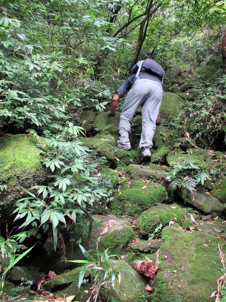 20130609竹子山古道087