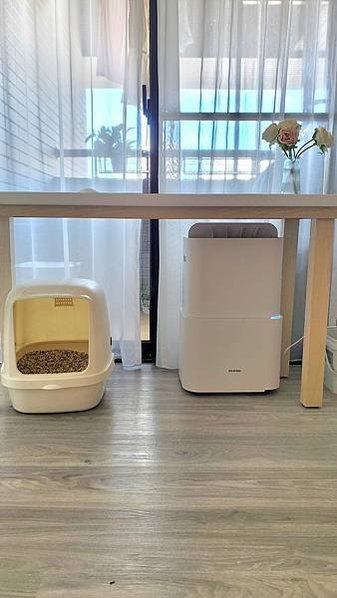 【開箱】日本 IRIS OHYAMA 空氣清淨除濕機-我是孔