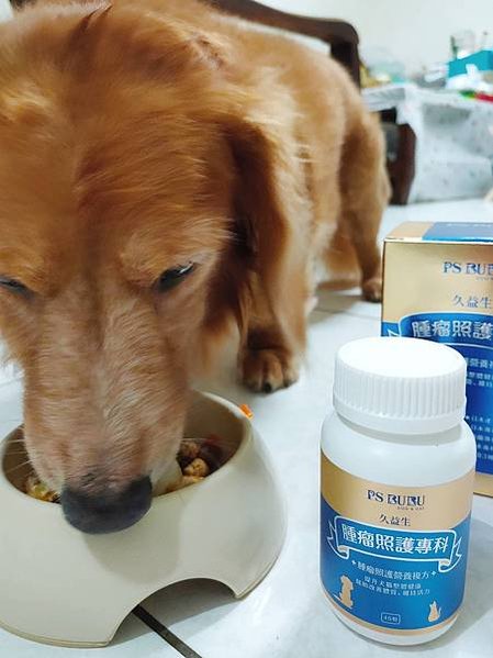 【真實分享】狗狗腫瘤照護（肺癌）：酷吉吃久益生（維持精氣神）