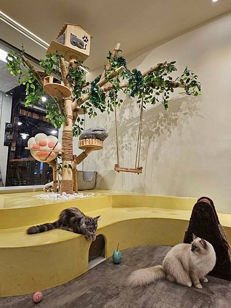 LINE_ALBUM_貓_250206_291