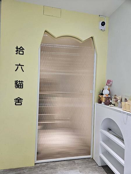 LINE_ALBUM_貓_250206_299