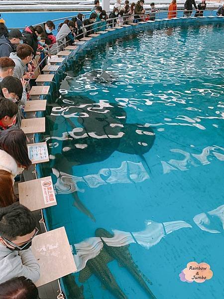 【宜蘭旅遊｜宜蘭礁溪】金車水產養殖研發中心，親子旅遊景點，帶