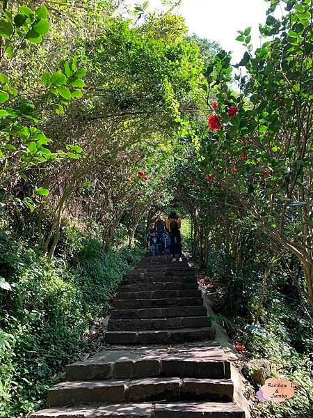 【新北景點｜新北八里】觀音山硬漢嶺｜肉腳?還是硬漢?北部登山