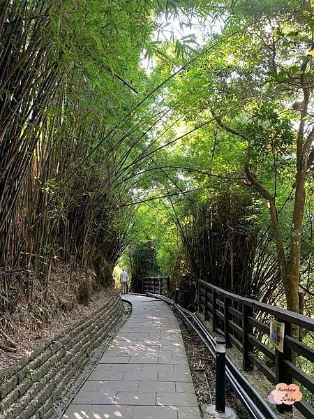 【新北景點｜新北八里】觀音山硬漢嶺｜肉腳?還是硬漢?北部登山