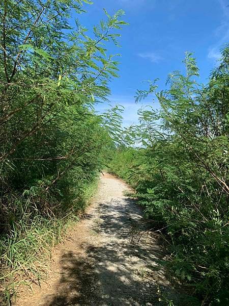 【澎湖景點】澎湖自然美景｜世界級自然景觀「池東大菓葉柱狀玄武