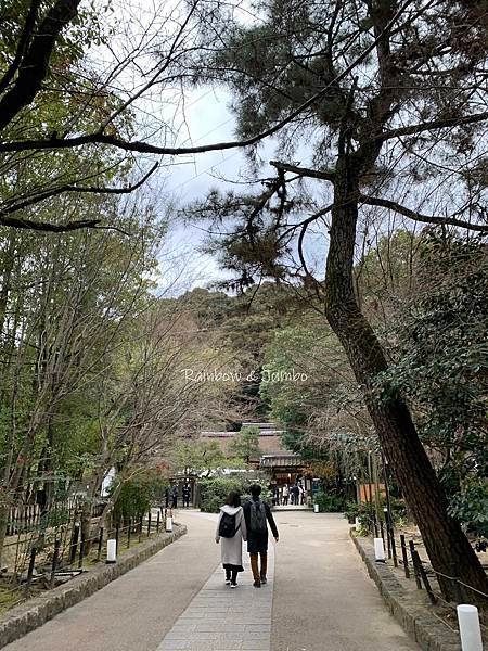 【日本京阪行程】京都自由行｜京都宇治｜與兔兔們有緣的宇治上神