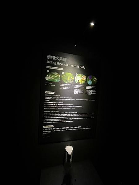 LINE_ALBUM_《teamLab未來遊樂園_與花共生的動物們》_211013_66