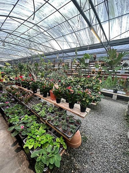 LINE_ALBUM_20230729_230801_54