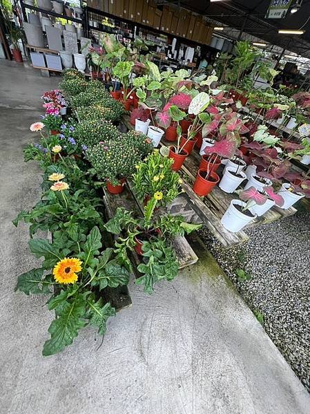 LINE_ALBUM_20230729_230801_52