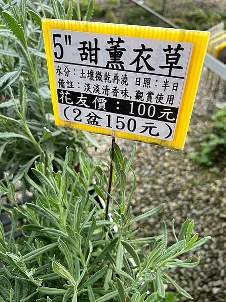 LINE_ALBUM_20230729_230801_29