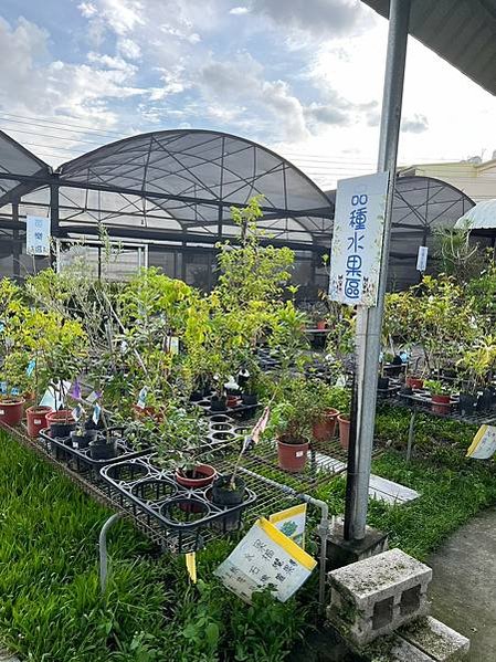 LINE_ALBUM_20230729_230801_26