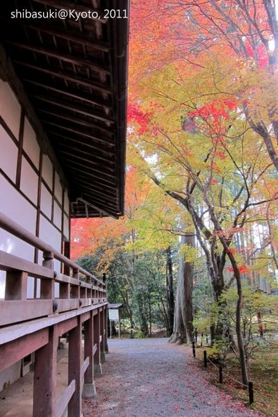 20111129_Kyoto-155_常照寺_1.JPG