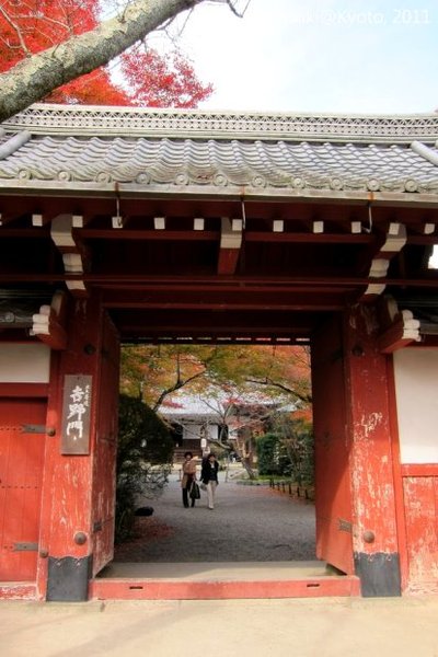 20111129_Kyoto-164_常照寺_1.JPG