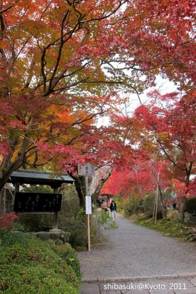 20111129_Kyoto-165_常照寺_1.JPG