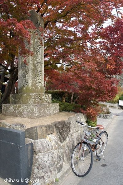 20111129_Kyoto-169_常照寺_1.JPG
