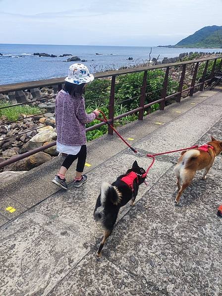 【宜蘭頭城】宜蘭靚羽咖啡館看海景烤肉喝咖啡～烏石港OA Ho