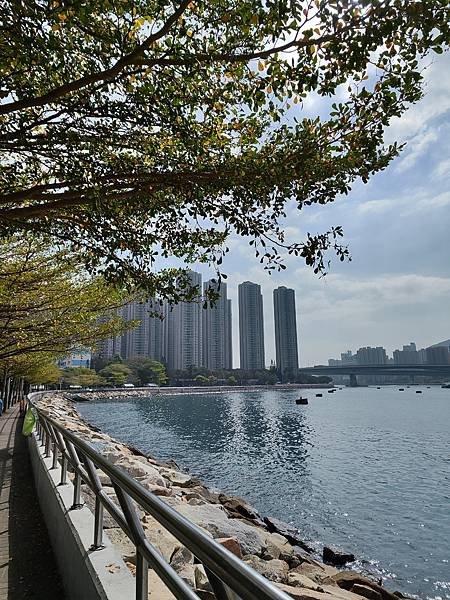 【香港親子】帶著孩子過寒假~荃灣親子遊(一口氣走遍荃新天地/