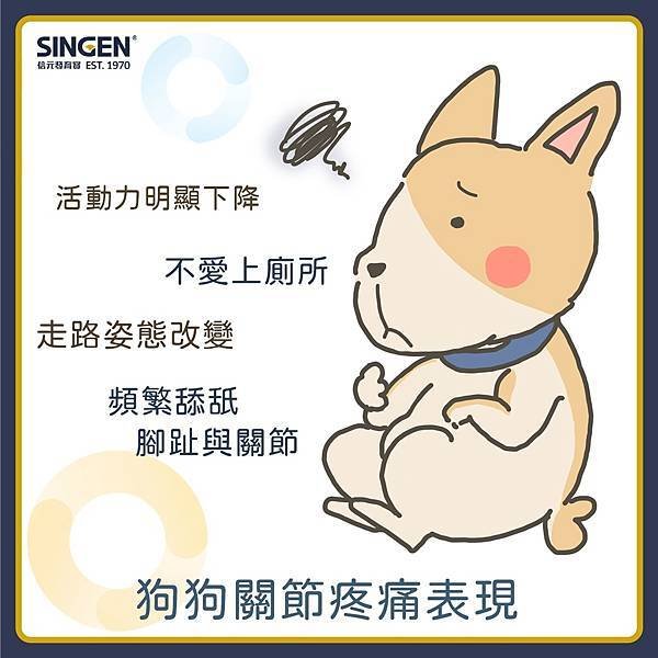 寵物關節問題 ， 比你想得還常/容易發生 !
