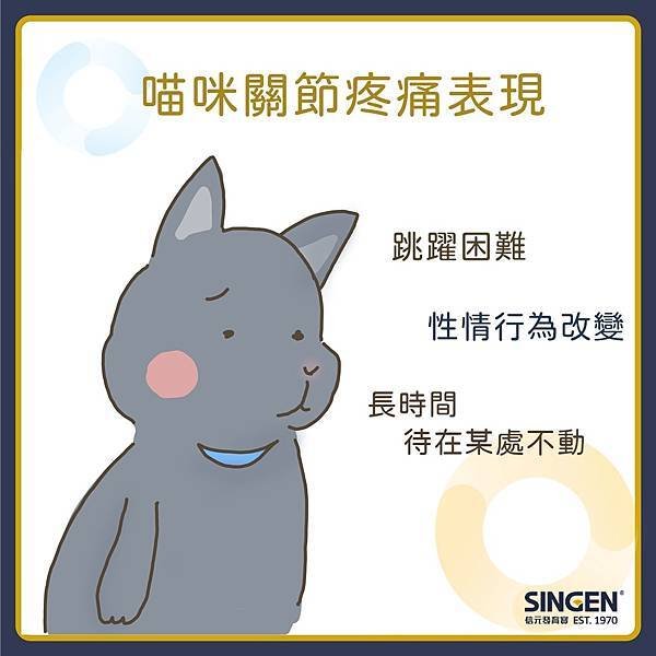 寵物關節問題 ， 比你想得還常/容易發生 !