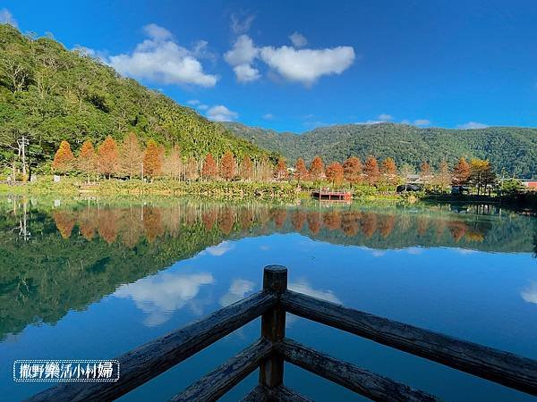 宜蘭落羽松秘境大集合，七個免門票景點通通告訴你，一起沉醉在橘