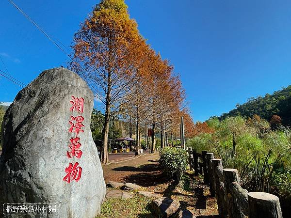 宜蘭落羽松秘境大集合，七個免門票景點通通告訴你，一起沉醉在橘