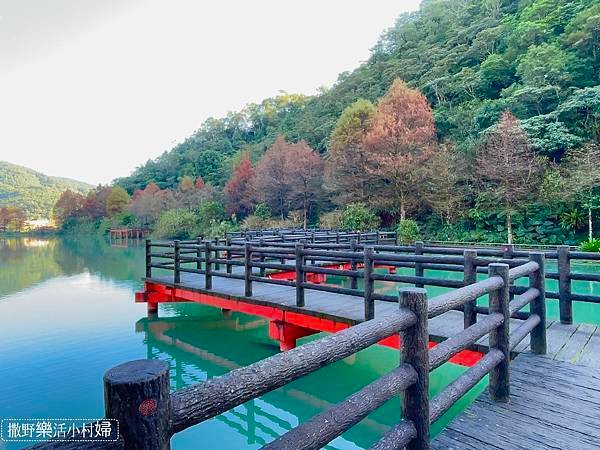 宜蘭落羽松秘境大集合，七個免門票景點通通告訴你，一起沉醉在橘