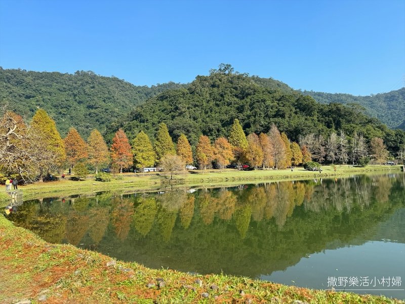 一年四季都好拍的秘境【蜊埤湖】絕美湖光山色倒影，肥肥鴨鵝戲水