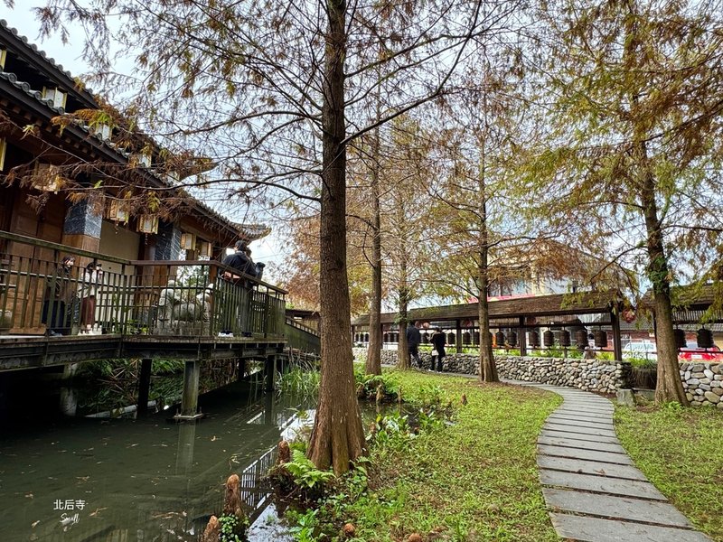 宜蘭落羽松秘境大集合，七個免門票景點通通告訴你，一起沉醉在橘