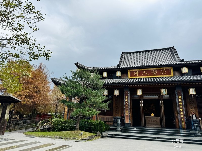 宜蘭落羽松秘境大集合，七個免門票景點通通告訴你，一起沉醉在橘