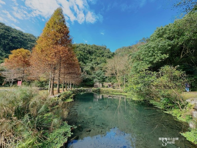 宜蘭落羽松秘境大集合，七個免門票景點通通告訴你，一起沉醉在橘