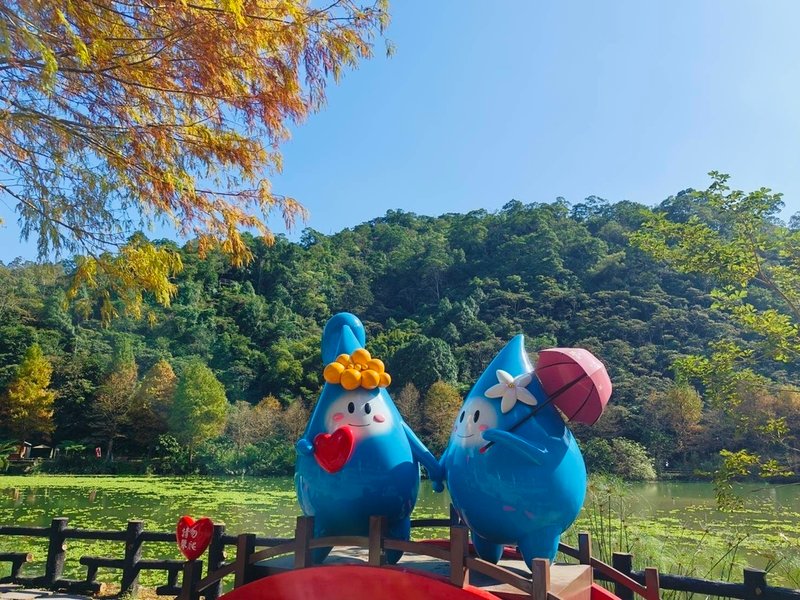 宜蘭落羽松秘境大集合，七個免門票景點通通告訴你，一起沉醉在橘