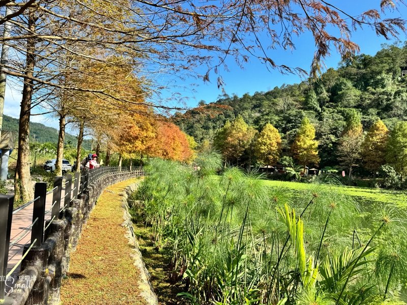 宜蘭落羽松秘境大集合，七個免門票景點通通告訴你，一起沉醉在橘