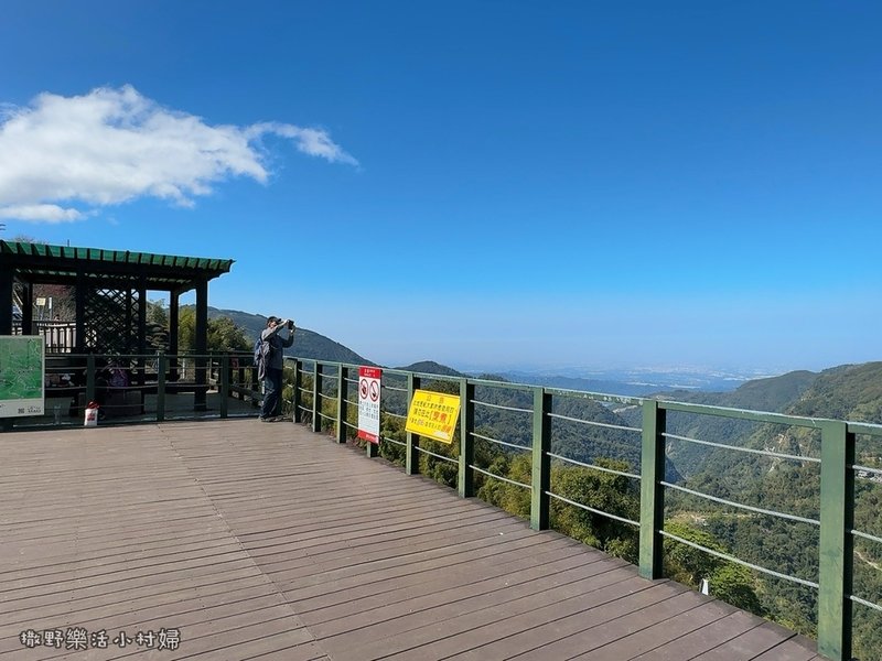中部最美櫻花隧道【八卦茶園】青山藍天、茶園粉櫻一次盡收，迴音