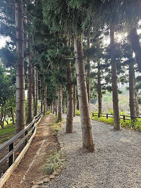 &lt;小P出遊手札&gt;榕錦時光生活園區