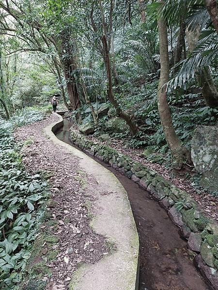 每趟旅程都是回憶~陽明山古圳之行