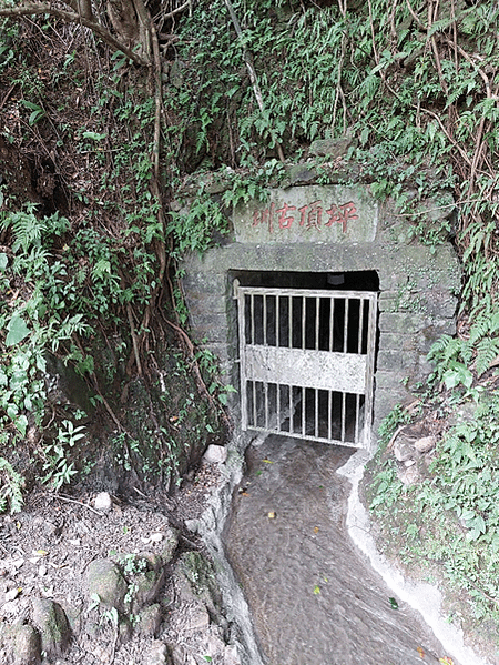 每趟旅程都是回憶~陽明山古圳之行