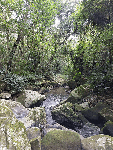 每趟旅程都是回憶~陽明山古圳之行